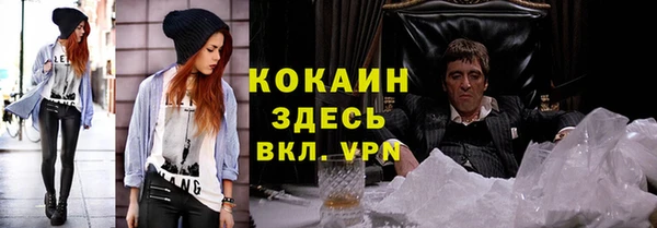 молекула духа Арсеньев
