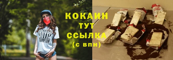 молекула духа Арсеньев