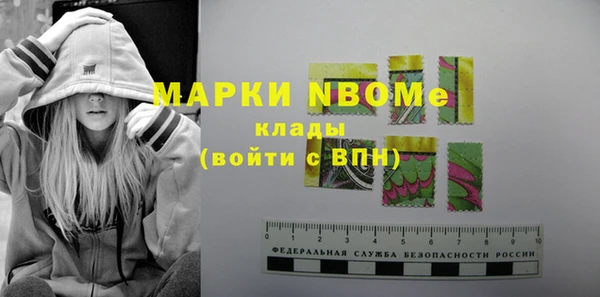 молекула духа Арсеньев