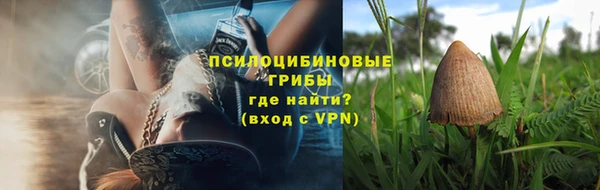 молекула духа Арсеньев