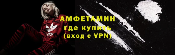 молекула духа Арсеньев