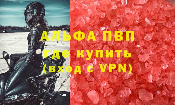 молекула духа Арсеньев