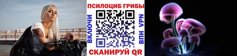 Купить закладки  Правдинск  Псилоцибиновые грибы ЛСД 