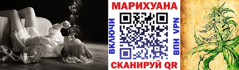 Конопля OG Kush  Купить  Правдинск 